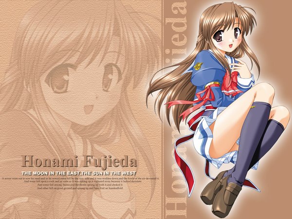 Anime picture 1024x768 with hanihani: operation sanctuary fujieda honami bekkankou single long hair looking at viewer blush brown hair sitting brown eyes full body wallpaper copyright name character names half updo zoom layer girl uniform ribbon (ribbons) socks