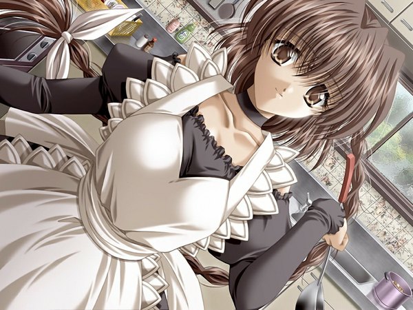 Anime picture 1024x768 with double (game) brown hair brown eyes game cg braid (braids) maid twin braids girl apron