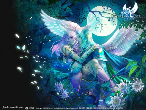 Anime picture 1024x768 with pointy ears night couple elf fantasy flower (flowers) petals wings armor moon