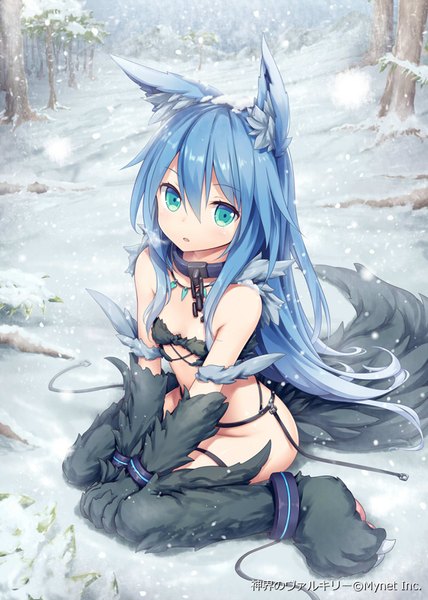 Anime picture 571x800 with shinkai no valkyrie squall (shinkai no valkyrie) akkijin single long hair tall image looking at viewer blush fringe breasts light erotic hair between eyes sitting bare shoulders animal ears payot blue hair outdoors tail parted lips