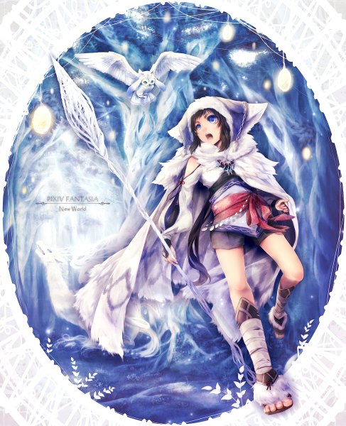 Anime picture 974x1200 with original kuina (escapegoat) single long hair tall image open mouth blue eyes black hair looking away girl dress animal bird (birds) hood cape staff