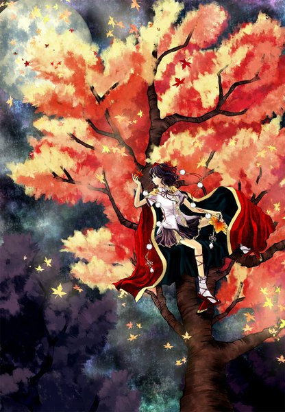 Anime picture 1250x1800 with touhou shameimaru aya cilo single tall image black hair red eyes autumn girl skirt plant (plants) hat tree (trees) leaf (leaves) moon cape full moon tokin hat