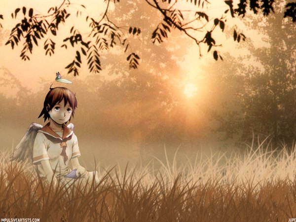 Anime picture 1600x1200 with haibane renmei rakka (haibane) single looking at viewer fringe short hair brown hair sitting brown eyes sunlight short sleeves flat chest angel wings nature girl plant (plants) wings tree (trees) book (books) insect