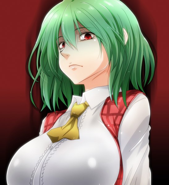 Anime picture 1094x1200 with touhou kazami yuuka watarui single tall image looking at viewer short hair breasts red eyes green hair huge breasts girl shirt vest