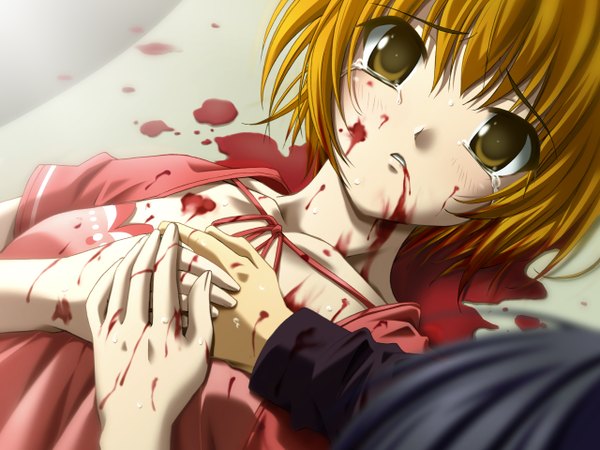 Anime picture 1280x960 with ever 17 tanaka yubiseiakikana blood tagme