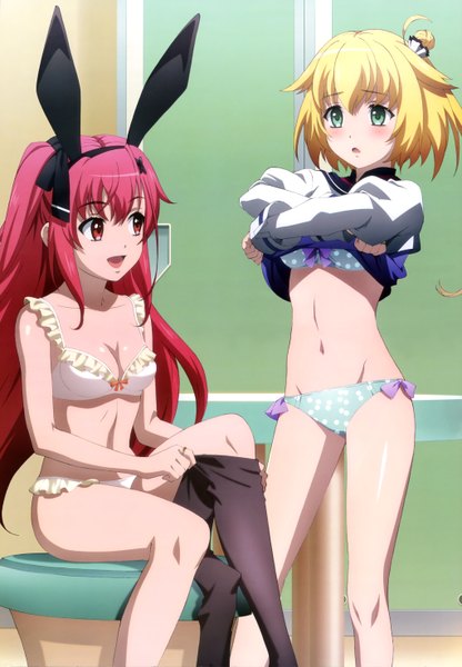 Anime picture 4086x5896 with kuusen madoushi kouhosei no kyoukan nyantype misora whitale lecty eisenach long hair tall image blush highres short hair open mouth blue eyes light erotic blonde hair red eyes multiple girls animal ears absurdres red hair official art bunny ears