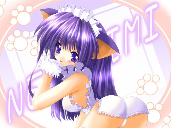 Anime picture 1024x768 with tsukuyomi moon phase hazuki light erotic animal ears cat ears