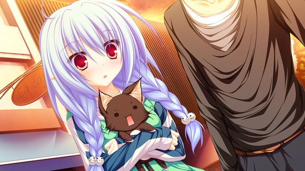Anime picture 1920x1080 with lunaris filia melis mikagami mamizu long hair highres red eyes wide image blue hair game cg braid (braids) pointy ears loli twin braids girl cat