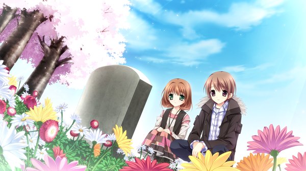 Anime picture 2560x1440 with otome ga tsumugu koi no canvas inui yuki kimishima ao highres short hair red eyes brown hair wide image green eyes game cg cherry blossoms girl boy flower (flowers) plant (plants) tree (trees) tombstone