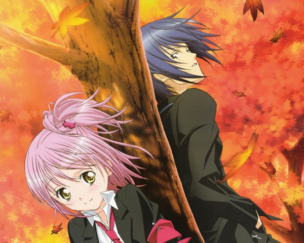 Anime picture 1950x1560 with shugo chara! hinamori amu tsukiyomi ikuto highres blue hair pink hair couple autumn plant (plants) tree (trees)