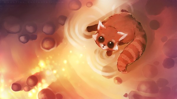 Anime picture 1920x1080 with original apofiss single highres wide image animal water raccoon shiningcat paper