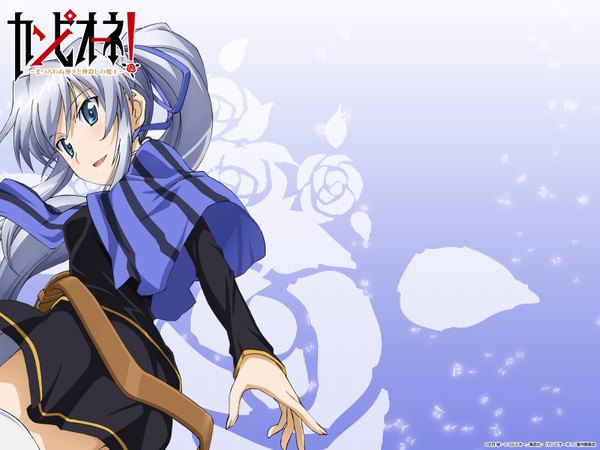 Anime picture 1600x1200 with campione! liliana kranjcar long hair blue eyes silver hair ponytail looking back girl ribbon (ribbons) hair ribbon