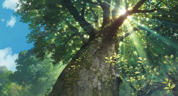 Anime picture 1500x812 with the borrower arrietty studio ghibli wide image sky cloud (clouds) light no people landscape nature plant (plants) tree (trees) branch forest