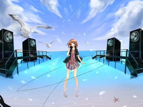 Anime picture 2000x1500 with original reio reio single highres short hair blue eyes brown hair cloud (clouds) girl animal water headphones bird (birds) wire (wires) seagull speakers