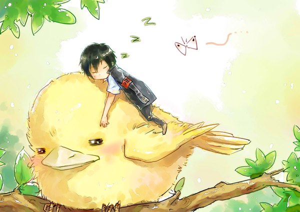 Anime picture 1414x1000 with katekyou hitman reborn hibari kyouya hibird linjie short hair black hair eyes closed sleeping clothes on shoulders boy animal bird (birds) insect butterfly branch