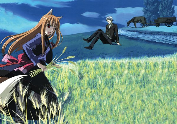Anime picture 4910x3444 with spice and wolf horo craft lawrence highres tagme