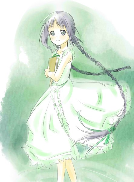 Anime picture 1330x1799 with bungaku shoujo amano tooko huahua tall image highres simple background green eyes braid (braids) twin braids girl dress book (books) sundress