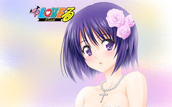 Anime picture 1920x1200 with toloveru xebec sairenji haruna highres wide image vector