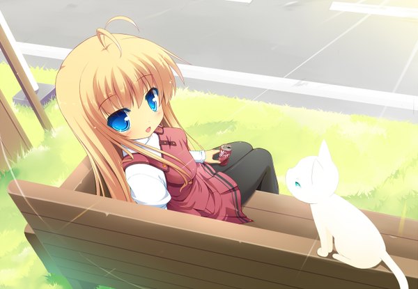 Anime picture 1473x1020 with original masaki (machisora) long hair blush open mouth blue eyes blonde hair sitting girl plant (plants) cat grass bench