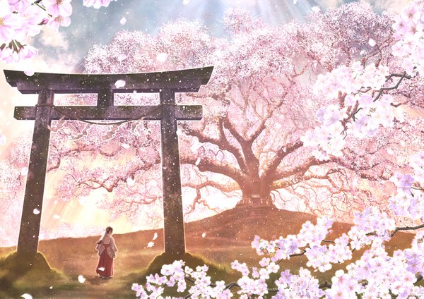 Anime picture 1433x1013 with original kun52 single long hair black hair traditional clothes japanese clothes from behind cherry blossoms miko scenic nature girl plant (plants) petals tree (trees) grass torii hakama