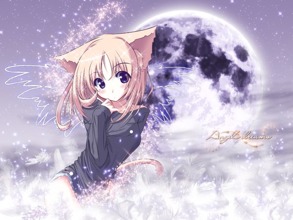 Anime picture 1600x1200 with original senmu single long hair blush blonde hair purple eyes animal ears animal tail cat ears cat girl cat tail cute girl moon