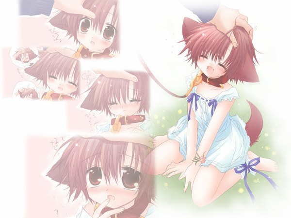 Anime picture 1024x768 with pure pure hinata sakurazawa izumi dog girl girl ribbon (ribbons) collar lead