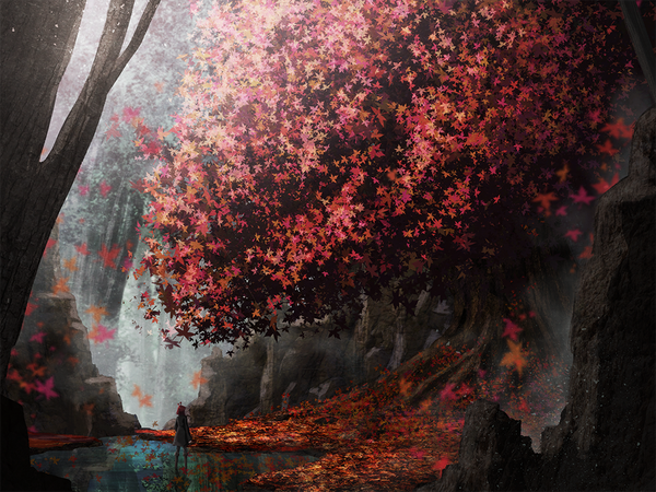 Anime picture 1000x750 with original someya mai single standing outdoors reflection landscape fog plant (plants) tree (trees) leaf (leaves) forest