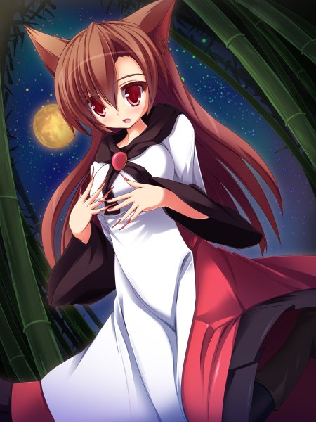 Anime picture 1800x2400 with touhou imaizumi kagerou liya single long hair tall image blush highres open mouth red eyes brown hair animal ears girl dress moon