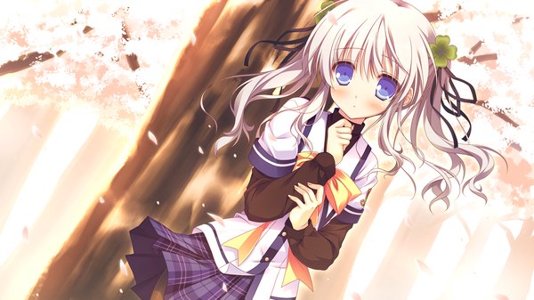 Anime picture 1280x720 with clover day's single long hair blush blue eyes wide image game cg white hair cherry blossoms girl uniform ribbon (ribbons) plant (plants) hair ribbon school uniform tree (trees)