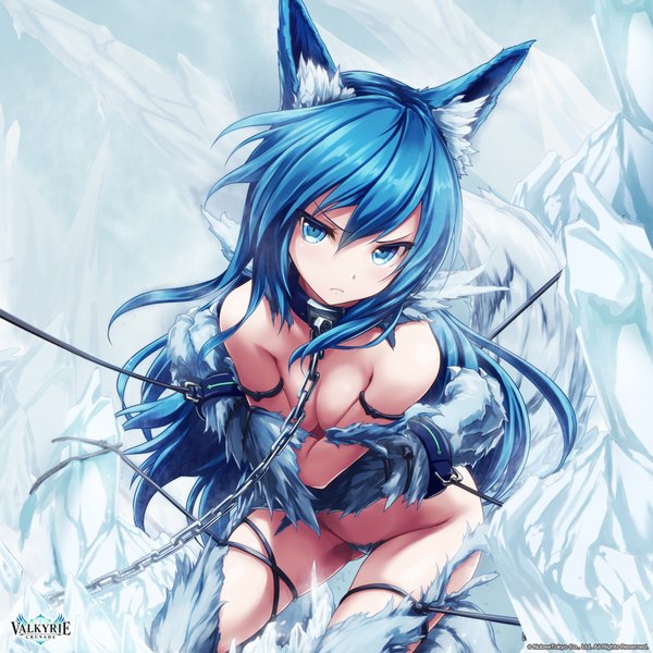 Anime picture 2048x2048 with shinkai no valkyrie fenrir (shinkai no valkyrie) akkijin single long hair looking at viewer highres breasts blue eyes light erotic bare shoulders animal ears blue hair bent knee (knees) tail animal tail from above bare belly breast grab wolf ears
