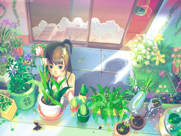Anime picture 1280x960 with original vofan long hair shadow summer girl flower (flowers) plant (plants) insect butterfly sliding doors cactus