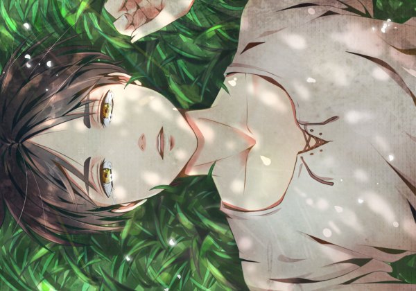 Anime picture 1200x840 with shingeki no kyojin production i.g eren yaeger syokumura single looking at viewer short hair open mouth black hair yellow eyes lying from above tears dark hair boy plant (plants) grass