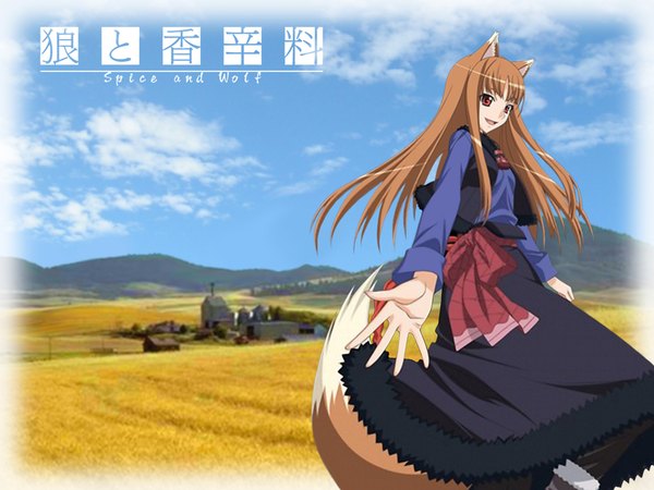 Anime picture 1024x768 with spice and wolf horo single long hair smile red eyes brown hair animal ears tail wolf ears wolf tail wolf girl field girl