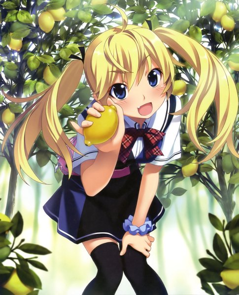 Anime picture 2900x3589 with grisaia no kajitsu matsushima michiru watanabe akio single tall image highres open mouth blue eyes blonde hair twintails wrist scrunchie girl thighhighs plant (plants) tree (trees) serafuku scrunchie fruit hair tie lemon