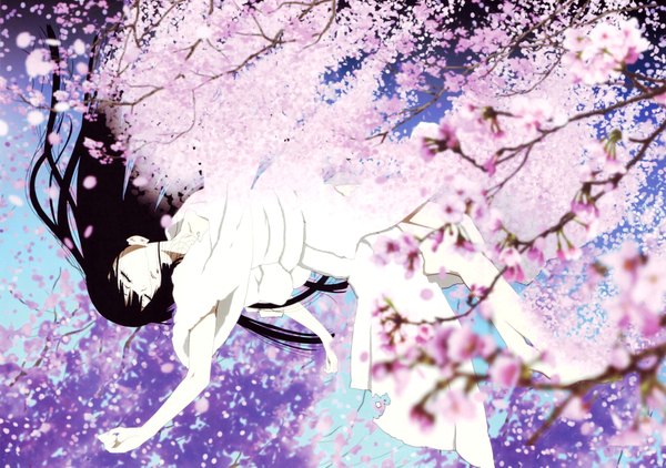 Anime picture 4000x2818 with hell girl studio deen enma ai highres black hair absurdres cherry blossoms girl