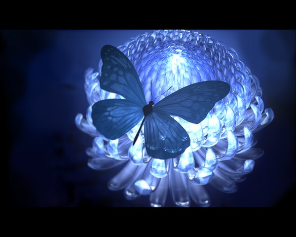 Anime picture 1280x1024 with original zunga light letterboxed no people flower (flowers) animal insect butterfly