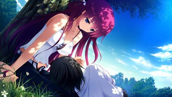 Anime picture 1024x576 with grisaia no kajitsu suou amane long hair short hair blue eyes black hair wide image game cg red hair lying girl boy plant (plants) tree (trees)