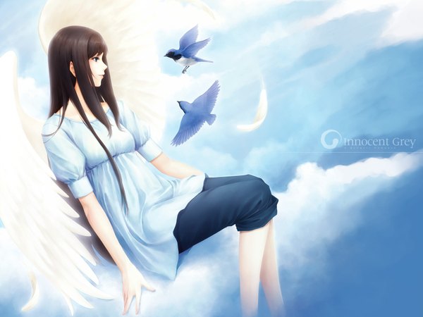 Anime picture 1600x1200 with kara no shoujo innocent grey kuchiki toko sky wings tagme
