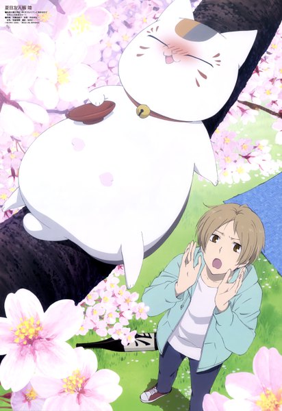 Anime picture 4087x5942 with natsume yuujinchou brains base (studio) natsume takashi madara (nyanko-sensei) kondou natsuko single tall image blush highres short hair open mouth brown hair brown eyes absurdres from above official art cherry blossoms spring boy flower (flowers)