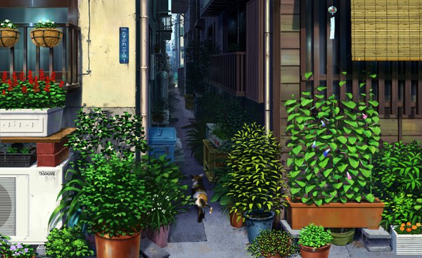 Anime picture 2500x1531 with original pei (sumurai) highres wide image no people scenic alley plant (plants) animal cat potted plant