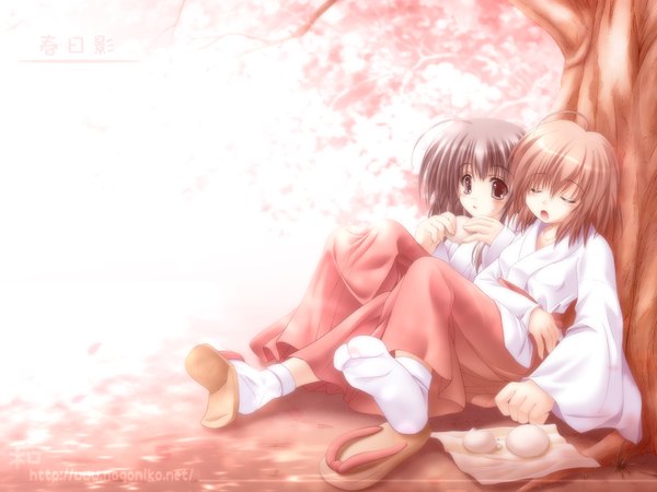 Anime picture 1600x1200 with japanese clothes cherry blossoms miko spring girl