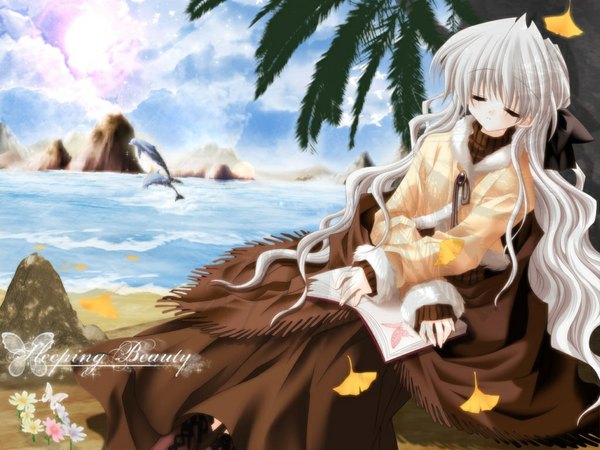 Anime picture 1024x768 with eyes closed beach sleeping leaf (leaves) insect butterfly dolphin