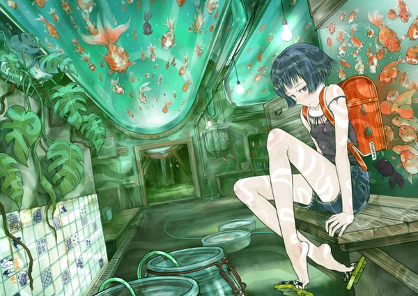 Anime picture 1248x882 with original kaichi aihara blush short hair sitting full body girl plant (plants) animal water shorts fish (fishes) backpack lamp bench goldfish randoseru aquarium