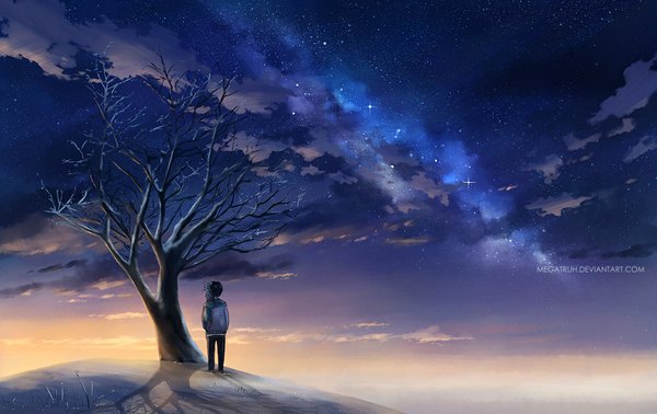 Anime picture 1000x630 with original megatruh short hair black hair sky cloud (clouds) night evening sunset milky way boy plant (plants) animal tree (trees)
