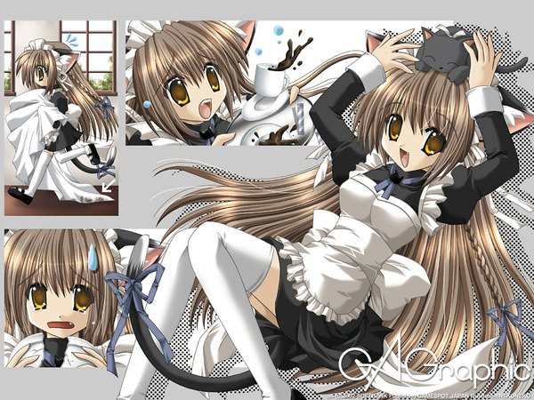 Anime picture 1024x768 with gagraphic nekoneko animal ears maid cat girl girl