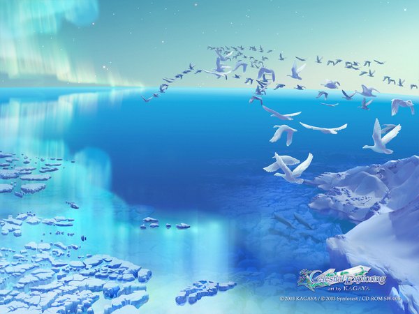 Anime picture 1600x1200 with kagaya flying 3d aurora borealis animal water bird (birds) star (stars) ice
