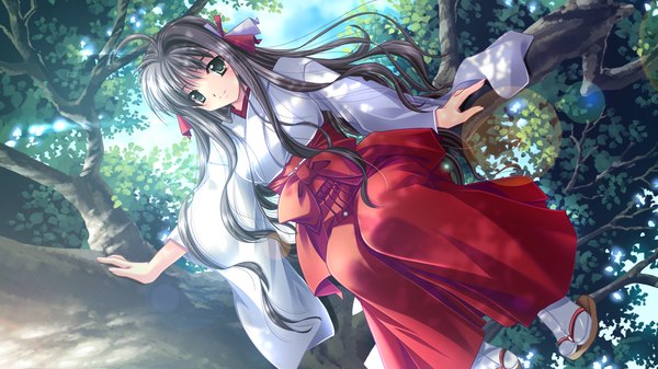 Anime picture 1024x576 with kurenai kagura long hair black hair wide image green eyes game cg japanese clothes miko girl