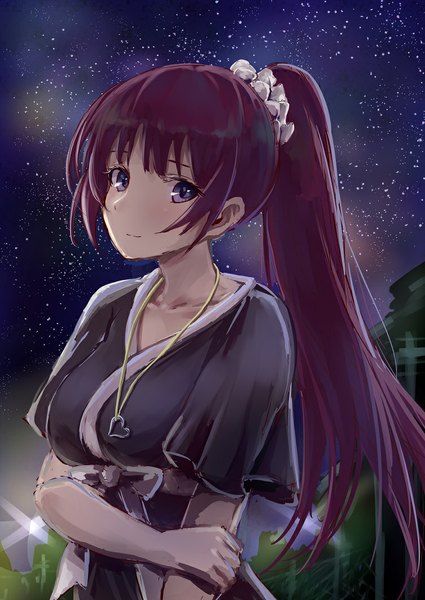 Anime picture 753x1063 with bakemonogatari shaft (studio) monogatari (series) senjougahara hitagi takeashiro single long hair tall image looking at viewer blush fringe breasts large breasts purple eyes purple hair upper body ponytail head tilt light smile night