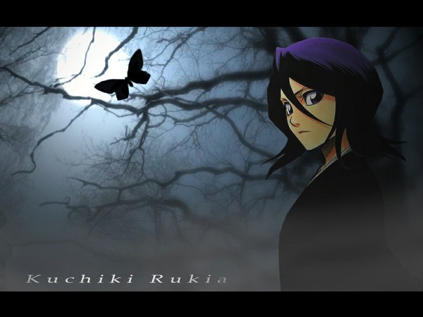 Anime picture 1024x768 with bleach studio pierrot kuchiki rukia single looking at viewer fringe short hair black hair hair between eyes upper body black eyes night character names letterboxed third-party edit bare tree girl plant (plants) tree (trees) insect