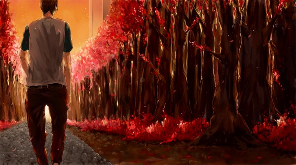 Anime picture 1300x727 with original tagme (artist) single short hair brown hair wide image from behind cherry blossoms back walking boy plant (plants) petals tree (trees) pants t-shirt